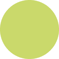 Cabin walls — Light Green