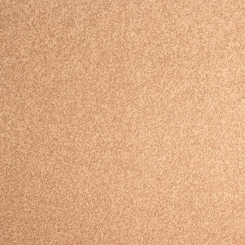 Floor — Carpet Camel