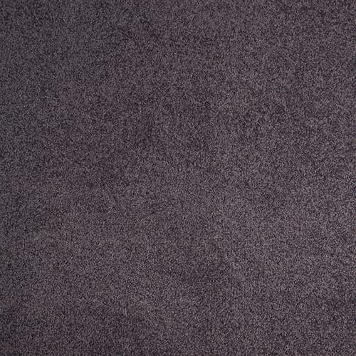 Floor — Carpet Elephant